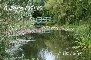 Image ofBridge Over Water and Lilies