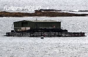 Image ofFishing Shed on Water